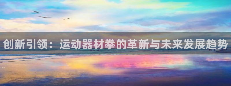 征途国际神州:创新引领:运动器材拳的革新与未来发展趋势