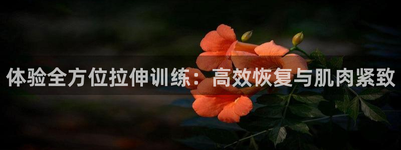 征途国际集团:体验全方位拉伸训练:高效恢复与肌肉紧致